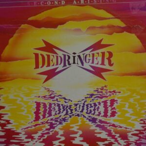 Disque vinyl 33T Dedringer - Second arising